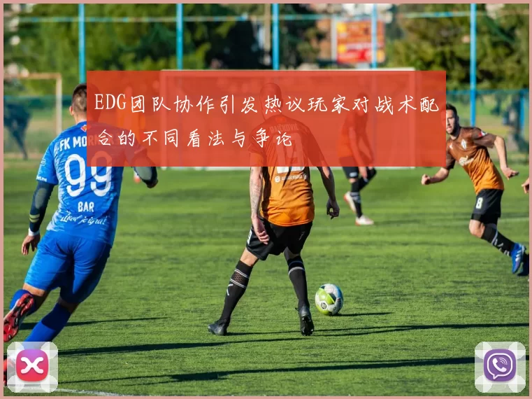 EDG团队协作引发热议玩家对战术配合的不同看法与争论