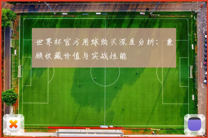 世界杯官方用球购买深度分析：兼顾收藏价值与实战性能