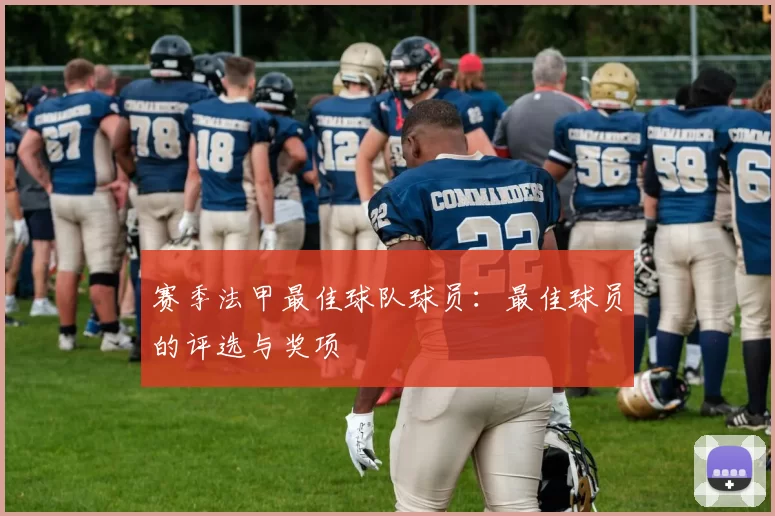 赛季法甲最佳球队球员：最佳球员的评选与奖项