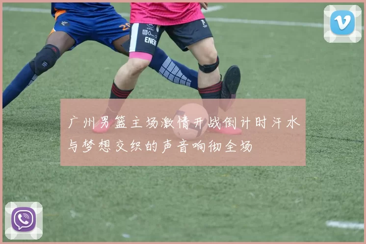 广州男篮主场激情开战倒计时汗水与梦想交织的声音响彻全场