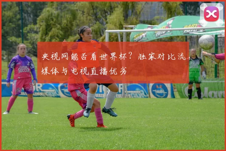 央视网能否看世界杯?独家对比流媒体与电视直播优劣