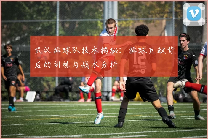 武汉排球队技术揭秘:排球巨献背后的训练与战术分析