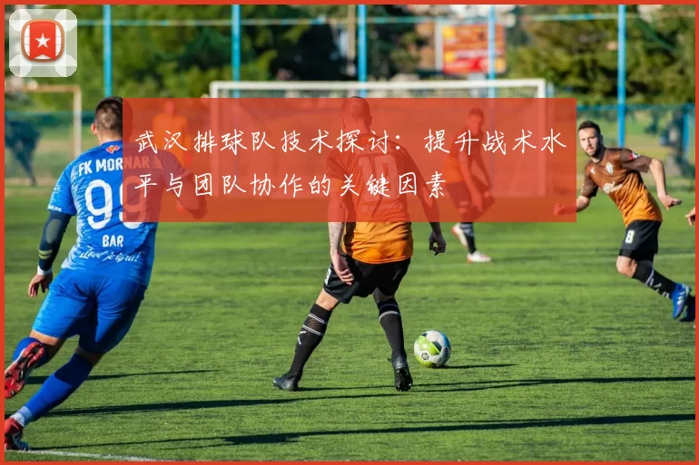 武汉排球队技术探讨:提升战术水平与团队协作的关键因素