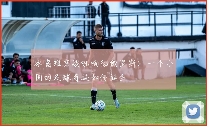 冰岛维京战吼响彻俄罗斯:一个小国的足球奇迹如何诞生