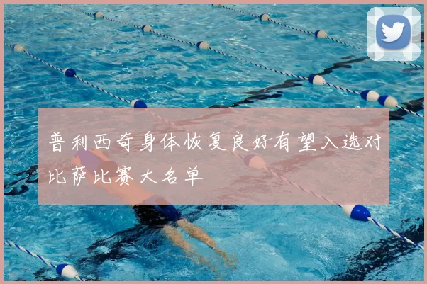 普利西奇身体恢复良好有望入选对比萨比赛大名单