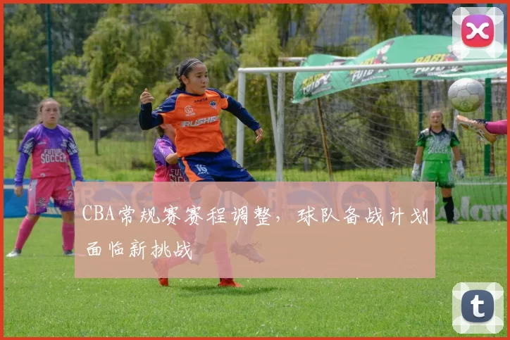 CBA常规赛赛程调整,球队备战计划面临新挑战