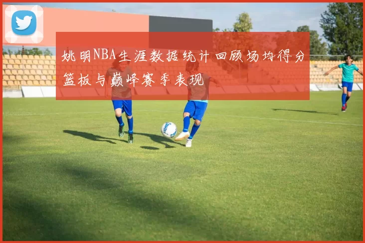 姚明NBA生涯数据统计回顾场均得分篮板与巅峰赛季表现