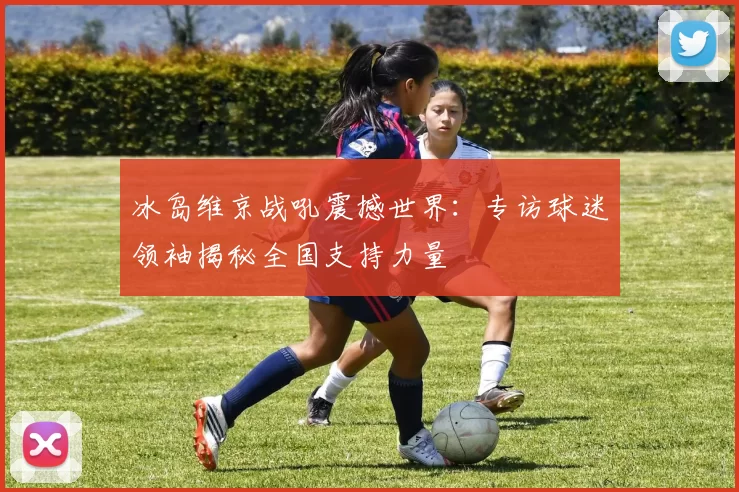 冰岛维京战吼震撼世界:专访球迷领袖揭秘全国支持力量