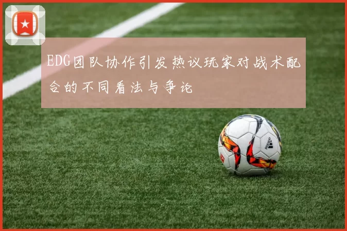 EDG团队协作引发热议玩家对战术配合的不同看法与争论