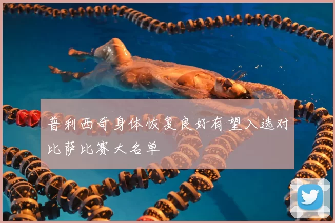 普利西奇身体恢复良好有望入选对比萨比赛大名单