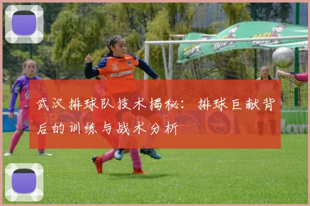 武汉排球队技术揭秘:排球巨献背后的训练与战术分析