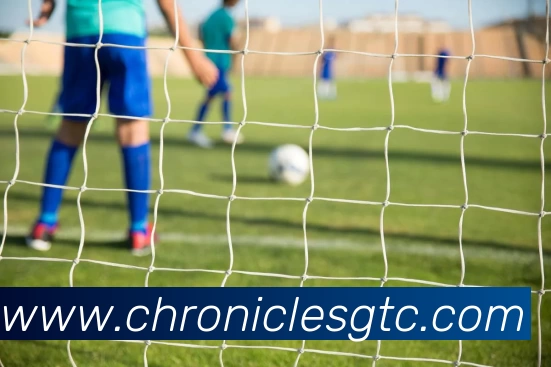 球盟会平台生态图